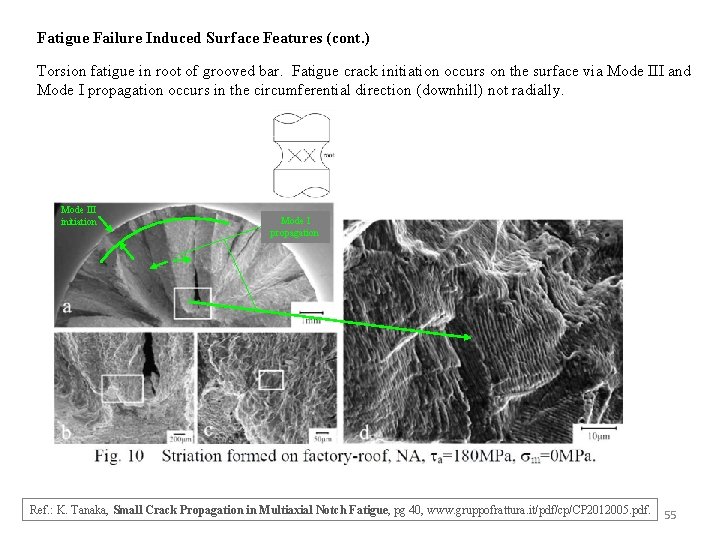 Fatigue Failure Induced Surface Features (cont. ) Torsion fatigue in root of grooved bar.