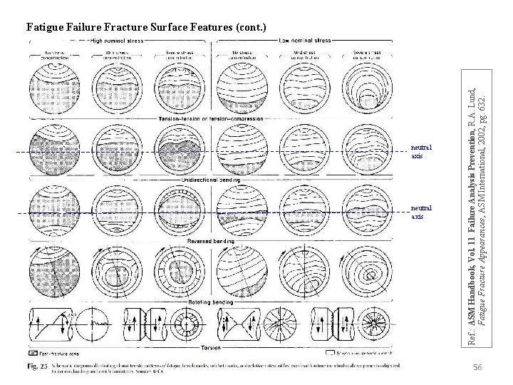 neutral axis Ref. : ASM Handbook, Vol. 11 Failure Analysis Prevention, R. A. Lund,