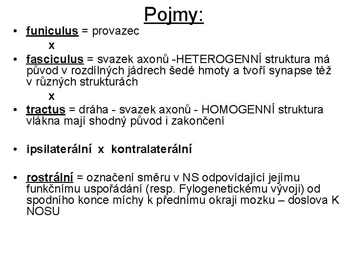 Pojmy: • funiculus = provazec x • fasciculus = svazek axonů -HETEROGENNÍ struktura má