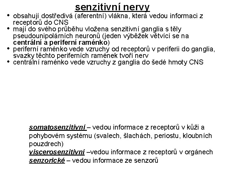  • • senzitivní nervy obsahují dostředivá (aferentní) vlákna, která vedou informaci z receptorů