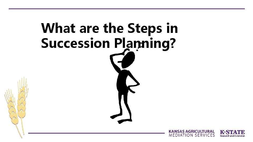 What are the Steps in Succession Planning? 