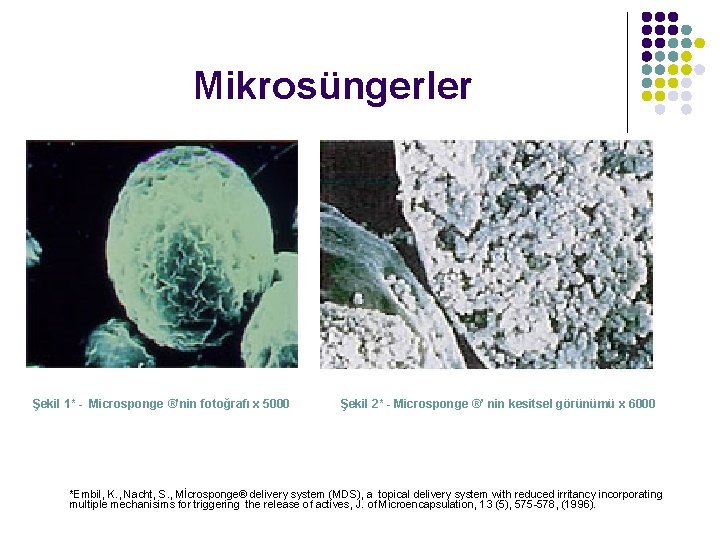 Mikrosüngerler Şekil 1* - Microsponge ®’nin fotoğrafı x 5000 Şekil 2* - Microsponge ®’