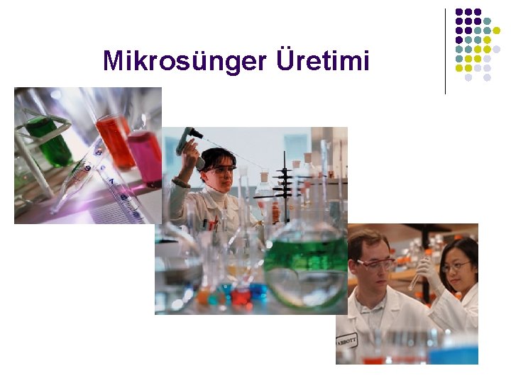 Mikrosünger Üretimi 