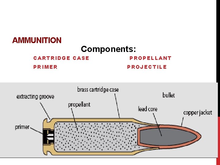 AMMUNITION Components: CARTRIDGE CASE PRIMER PROPELLANT PROJECTILE 