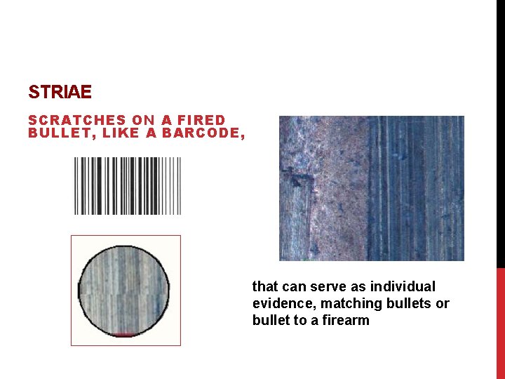 STRIAE SCRATCHES ON A FIRED BULLET, LIKE A BARCODE, that can serve as individual