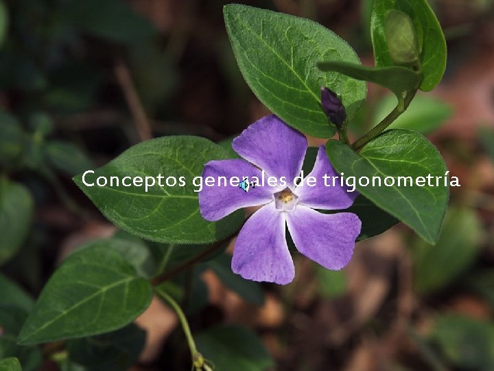 Conceptos generales de trigonometría 