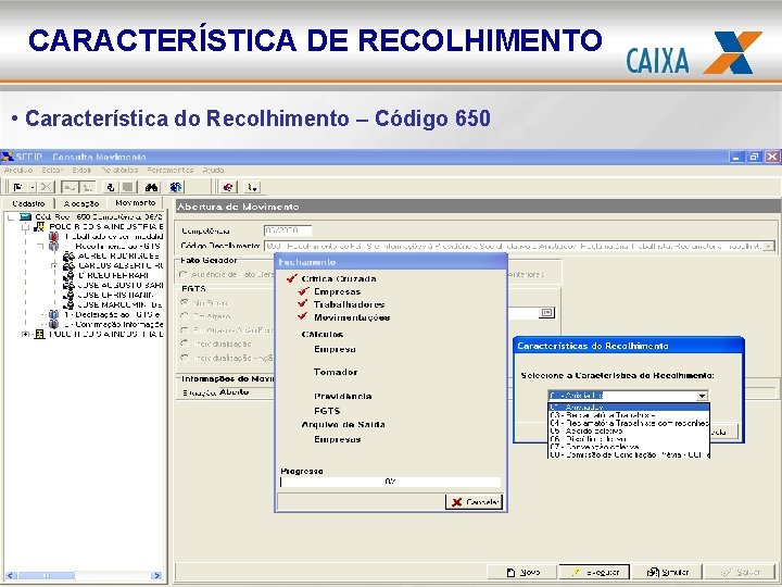 CARACTERÍSTICA DE RECOLHIMENTO • Característica do Recolhimento – Código 650 