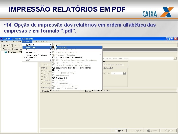 IMPRESSÃO RELATÓRIOS EM PDF • 14. Opção de impressão dos relatórios em ordem alfabética