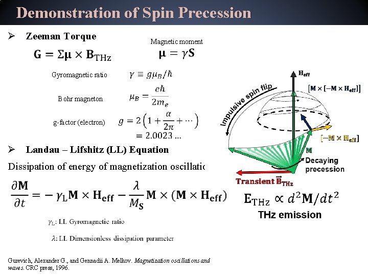 Demonstration of Spin Precession Ø Zeeman Torque Magnetic moment Gyromagnetic ratio Bohr magneton g-factor