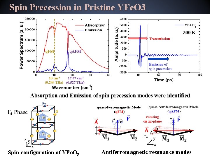 Spin Precession in Pristine YFe. O 3 Spin configuration of YFe. O 3 Antiferromagnetic