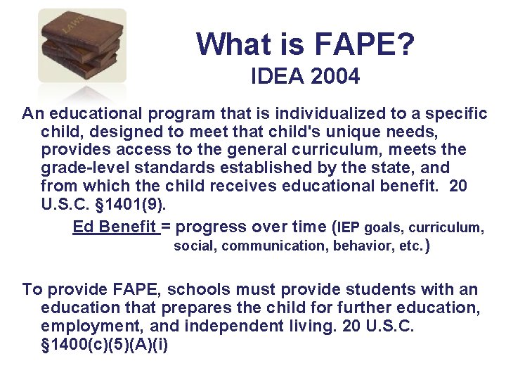 What is FAPE? IDEA 2004 An educational program that is individualized to a specific