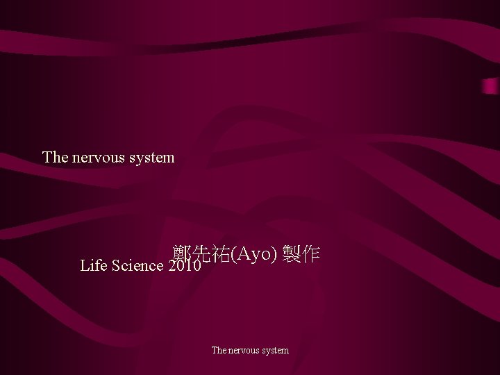 The nervous system 鄭先祐(Ayo) 製作 Life Science 2010 The nervous system 