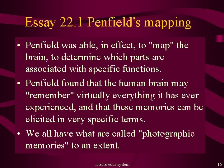 Essay 22. 1 Penfield's mapping • Penfield was able, in effect, to "map" the