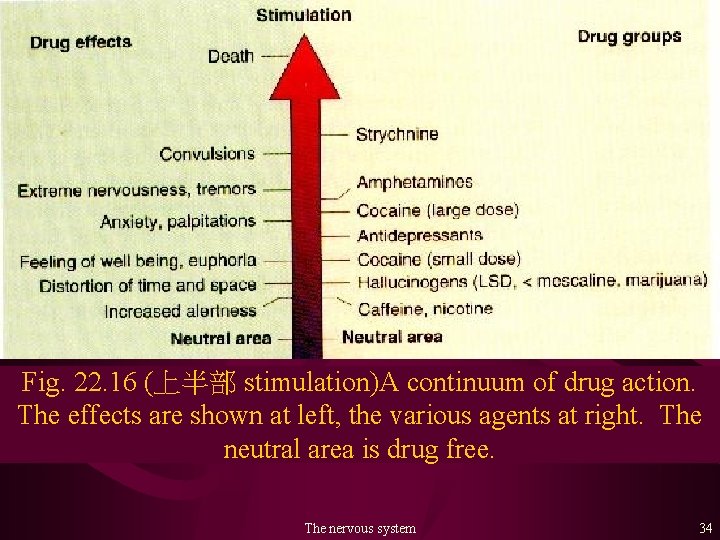 Fig. 22. 16 (上半部 stimulation)A continuum of drug action. The effects are shown at