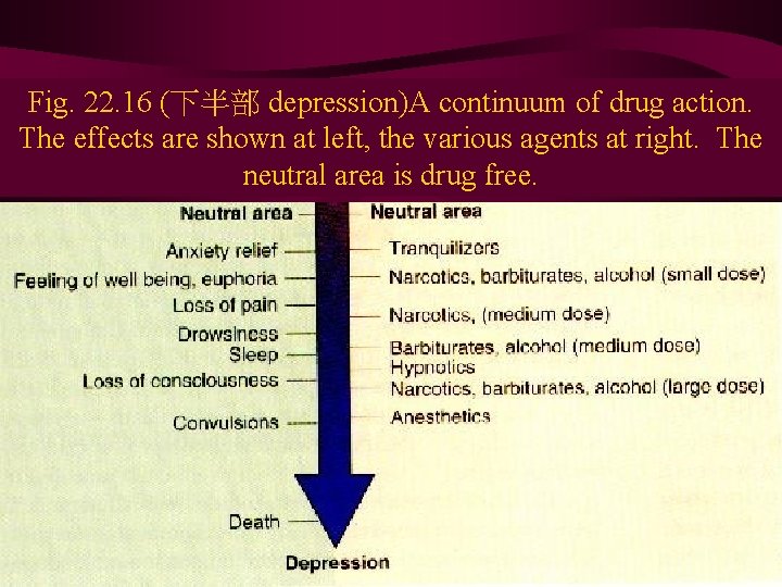 Fig. 22. 16 (下半部 depression)A continuum of drug action. The effects are shown at