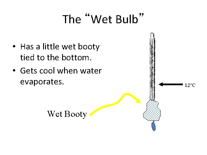 The “Wet Bulb” • Has a little wet booty tied to the bottom. •