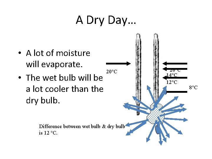 A Dry Day… • A lot of moisture will evaporate. 20°C • The wet
