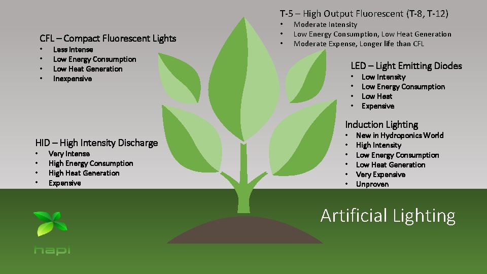 T-5 – High Output Fluorescent (T-8, T-12) CFL – Compact Fluorescent Lights • •