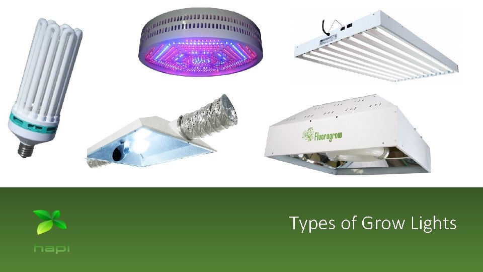 Types of Grow Lights 