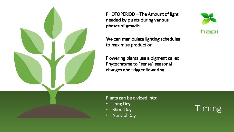 PHOTOPERIOD – The Amount of light needed by plants during various phases of growth