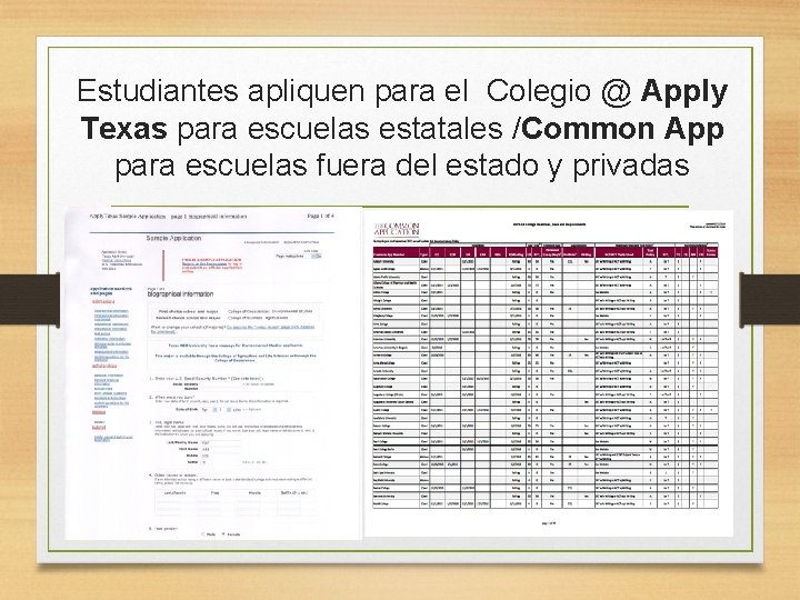 Estudiantes apliquen para el Colegio @ Apply Texas para escuelas estatales /Common App para