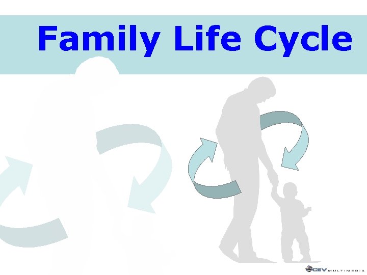 Family Life Cycle 