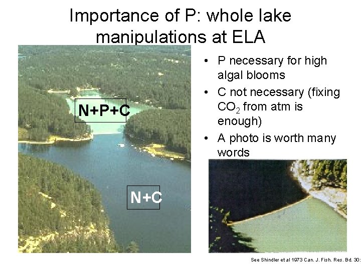 Importance of P: whole lake manipulations at ELA N+P+C • P necessary for high