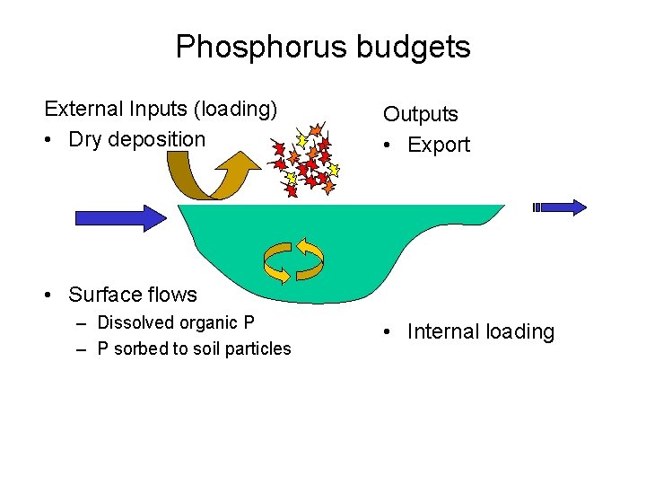 Phosphorus budgets External Inputs (loading) • Dry deposition Outputs • Export • Surface flows