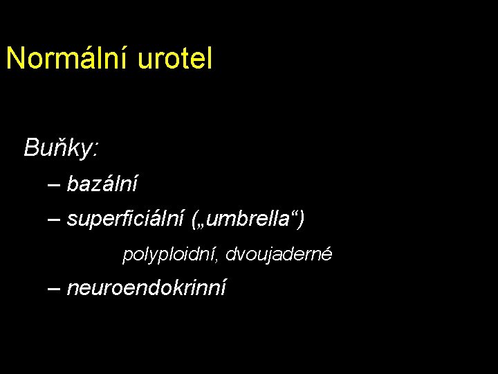 Normální urotel Buňky: – bazální – superficiální („umbrella“) polyploidní, dvoujaderné – neuroendokrinní Normální urotel Buňky: – bazální – superficiální („umbrella“) polyploidní, dvoujaderné – neuroendokrinní