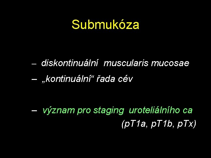 Submukóza – diskontinuální muscularis mucosae – „kontinuální“ řada cév – význam pro staging uroteliálního