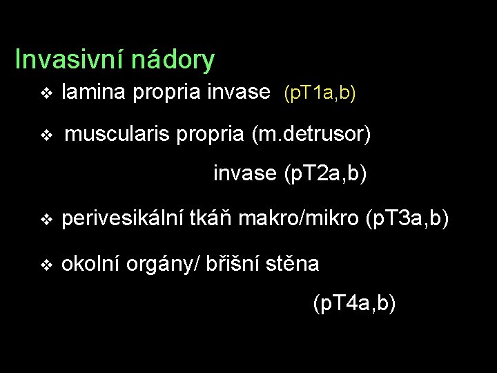 Invasivní nádory v lamina propria invase (p. T 1 a, b) v muscularis propria