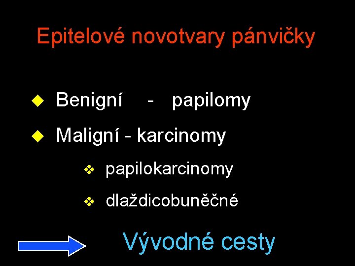 Epitelové novotvary pánvičky u Benigní - papilomy u Maligní - karcinomy v papilokarcinomy v