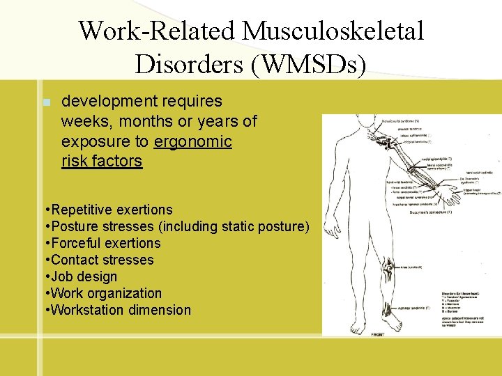 Work-Related Musculoskeletal Disorders (WMSDs) n development requires weeks, months or years of exposure to