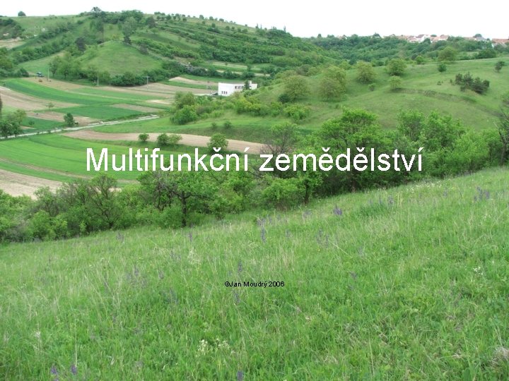 Multifunkční zemědělství ©Jan Moudrý 2006 