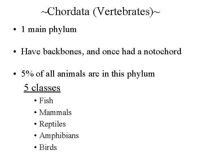 ~Chordata (Vertebrates)~ • 1 main phylum • Have backbones, and once had a notochord