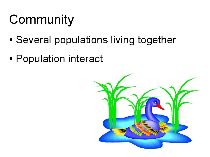 Community • Several populations living together • Population interact 