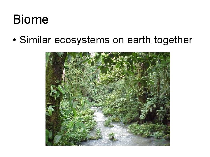 Biome • Similar ecosystems on earth together 