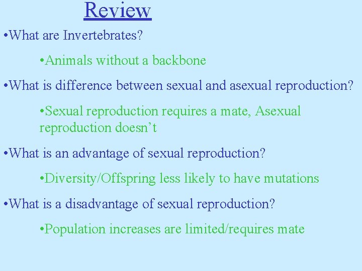 Review • What are Invertebrates? • Animals without a backbone • What is difference