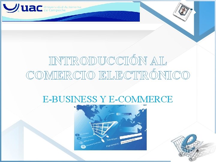 INTRODUCCIÓN AL COMERCIO ELECTRÓNICO E-BUSINESS Y E-COMMERCE 