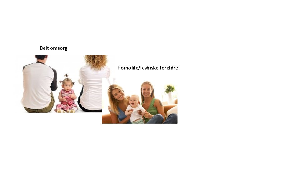 Delt omsorg Homofile/lesbiske foreldre 