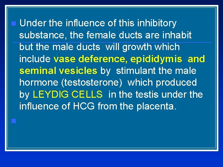 Under the influence of this inhibitory substance, the female ducts are inhabit but the