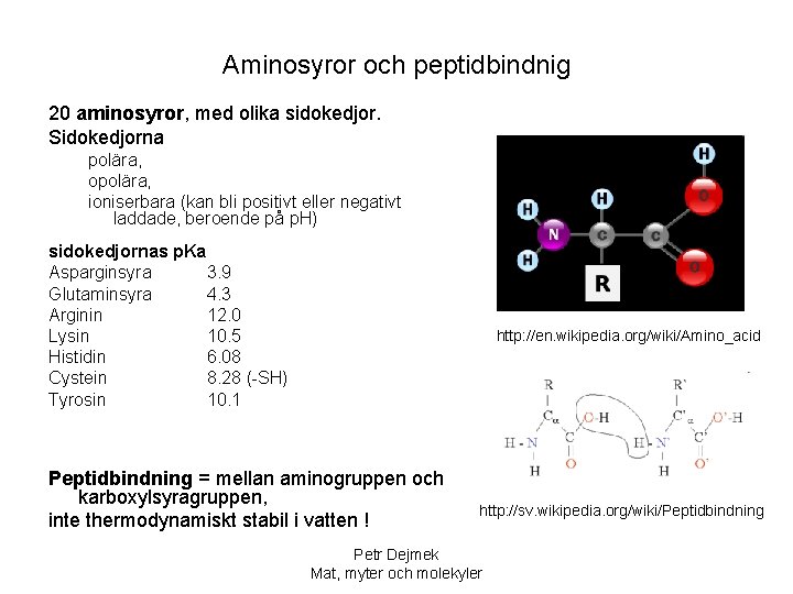 Aminosyror och peptidbindnig 20 aminosyror, med olika sidokedjor. Sidokedjorna polära, opolära, ioniserbara (kan bli