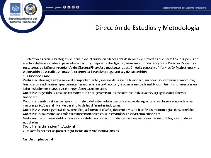 Dirección de Estudios y Metodología Su objetivo es crear estrategias de manejo de información