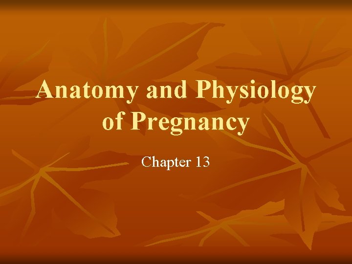 Anatomy and Physiology of Pregnancy Chapter 13 