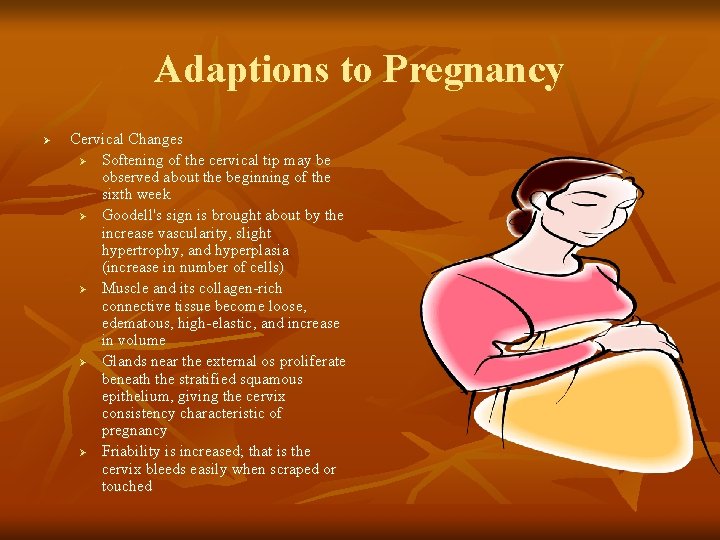 Adaptions to Pregnancy Ø Cervical Changes Ø Softening of the cervical tip may be