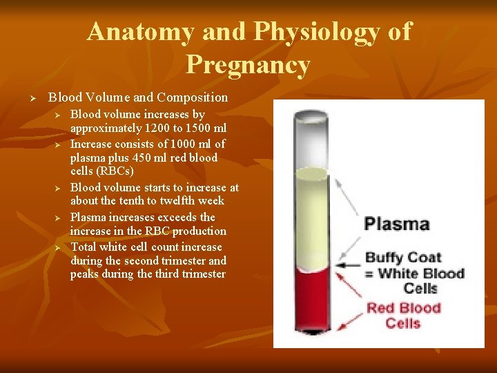Anatomy and Physiology of Pregnancy Ø Blood Volume and Composition Ø Ø Ø Blood