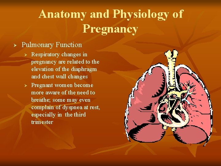 Anatomy and Physiology of Pregnancy Ø Pulmonary Function Ø Ø Respiratory changes in pregnancy