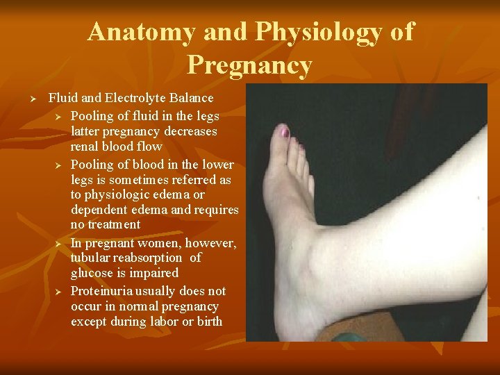 Anatomy and Physiology of Pregnancy Ø Fluid and Electrolyte Balance Ø Pooling of fluid