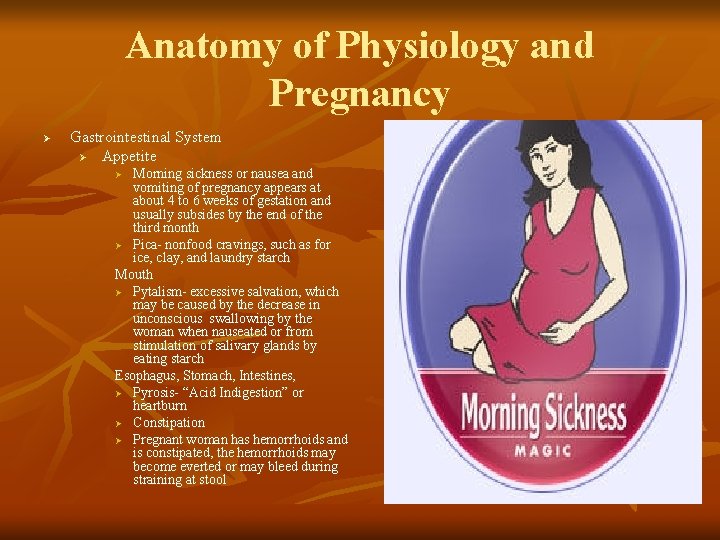 Anatomy of Physiology and Pregnancy Ø Gastrointestinal System Ø Appetite Morning sickness or nausea
