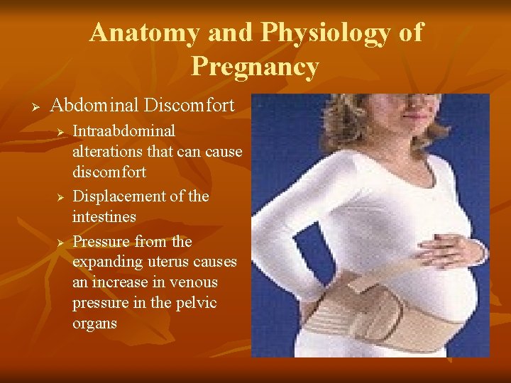 Anatomy and Physiology of Pregnancy Ø Abdominal Discomfort Ø Ø Ø Intraabdominal alterations that